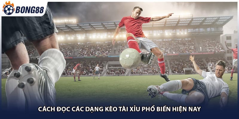 Cách đọc các dạng kèo tài xỉu phổ biến hiện nay