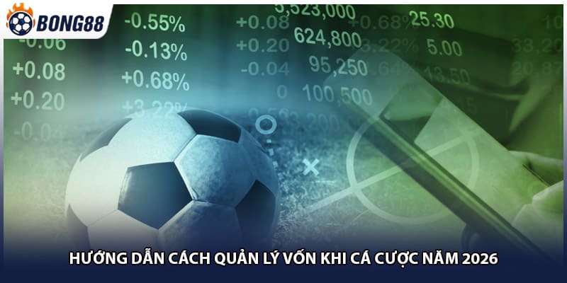 Hướng dẫn cách quản lý vốn khi cá cược năm 2026